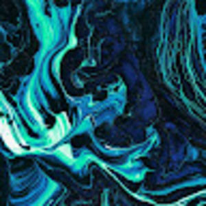 Meet your Posher, Ryley